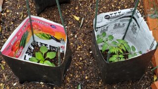 夏 子供の好きなアイスランキング 第一位は以外にも 食ってみなとぶぞ Bluedrop Blog