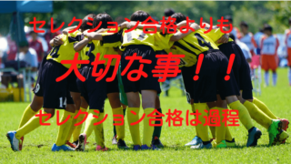 Bluedrop Blog ブルードロップの好きな事を書く