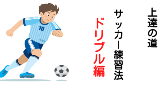 子供にサッカーを教えたい サッカー講座 スローインを覚えよう ファウルスローにならないように体でコツを覚える練習
